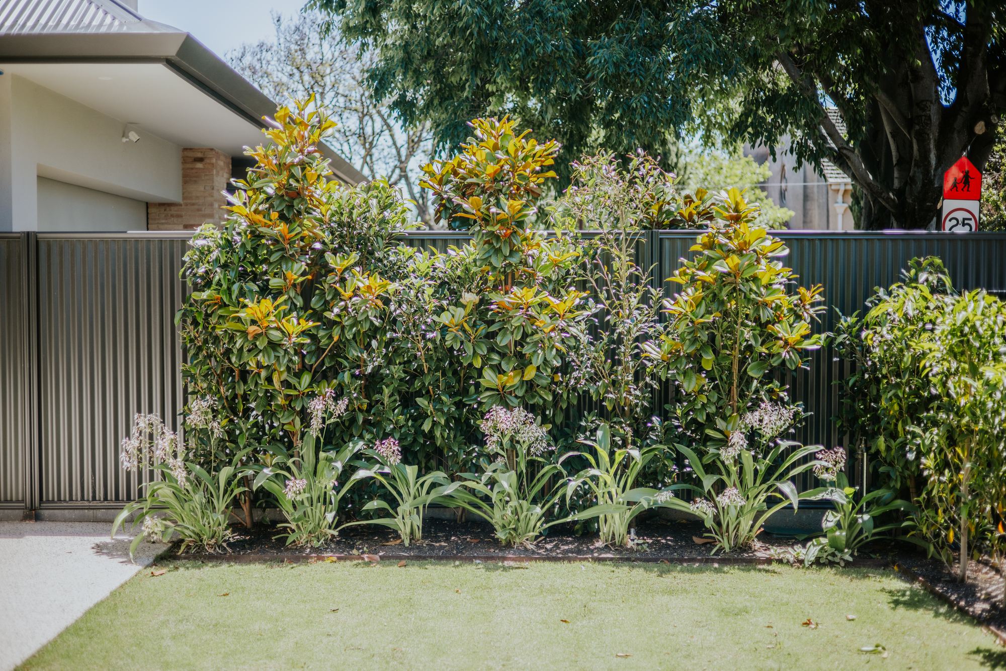 An established Adelaide garden built by ALC