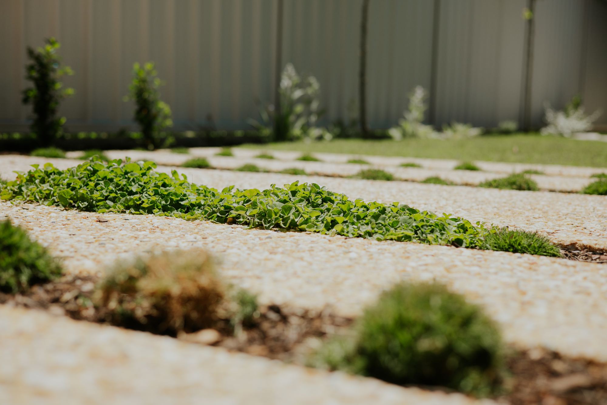 Paving and lawn detail from an ALC build